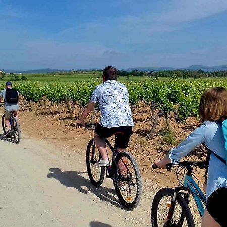 Tina De Vila, En La Capital Del Vino Вильяфранка-дель-Пенедес Экстерьер фото